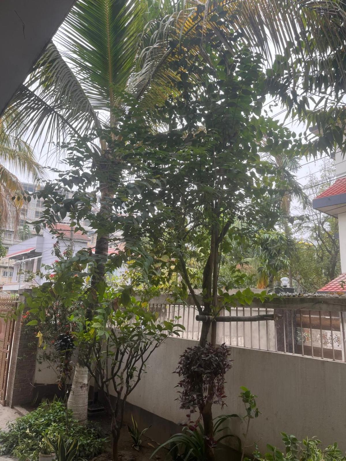 Amazing Homestay Guwahati Eksteriør bilde