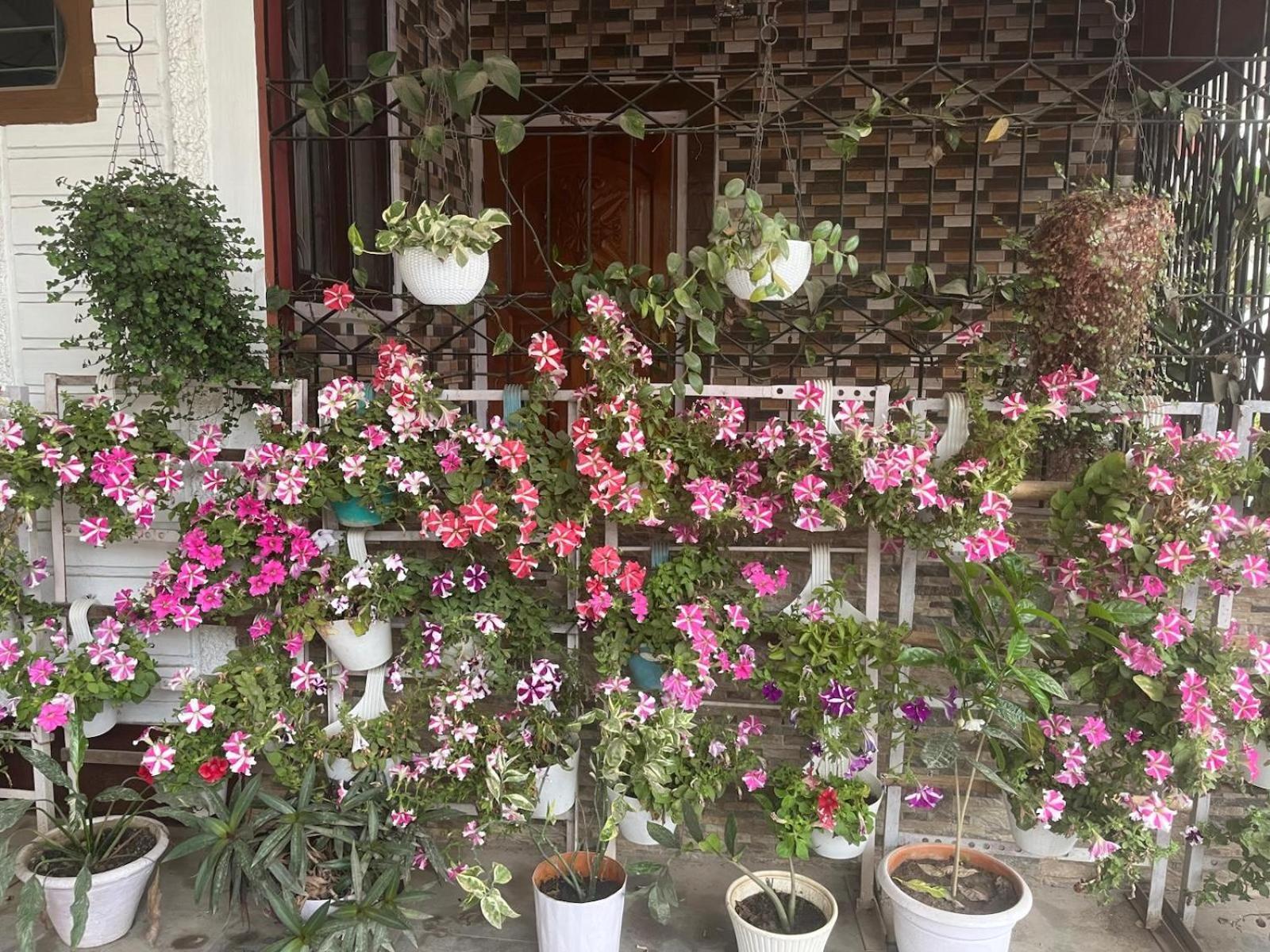 Amazing Homestay Guwahati Eksteriør bilde