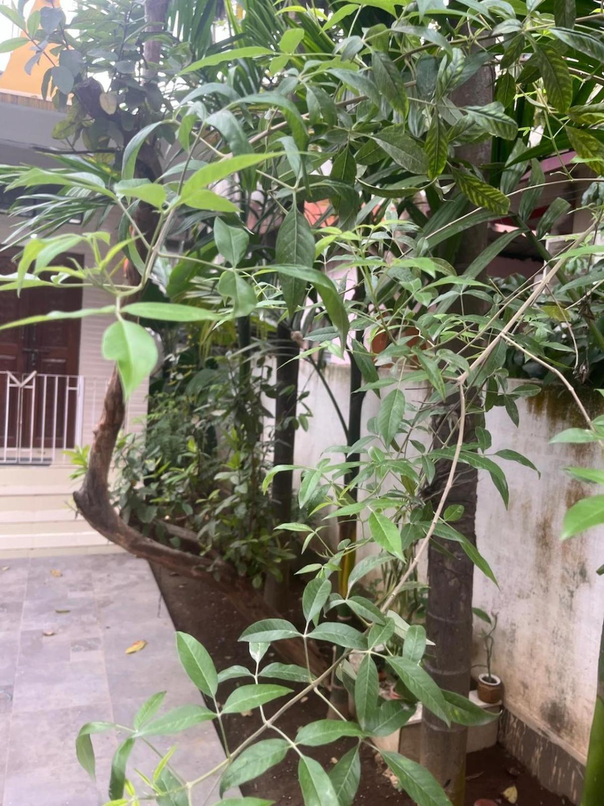 Amazing Homestay Guwahati Eksteriør bilde